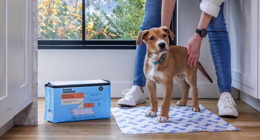 Pet Life Unlimited's New SmartStart Puppy Pads